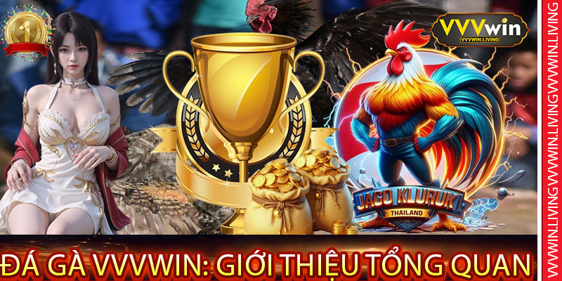 Đá Gà VVVWin: Giới thiệu tổng quan