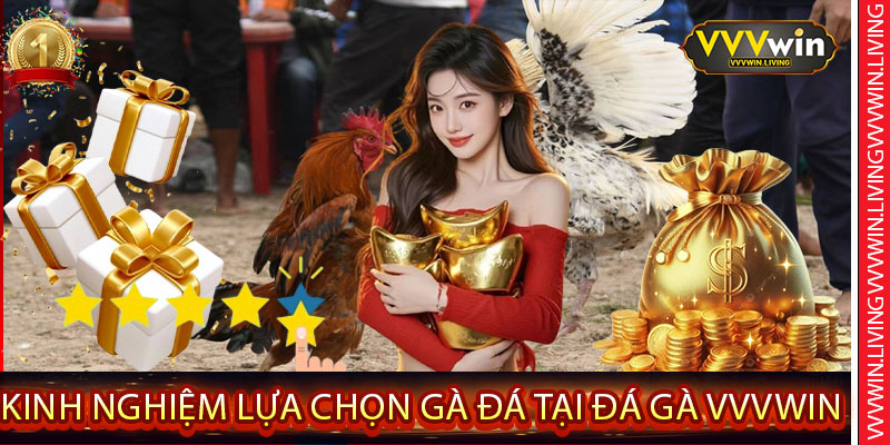 Kinh nghiệm lựa chọn gà đá tại Đá Gà VVVWin